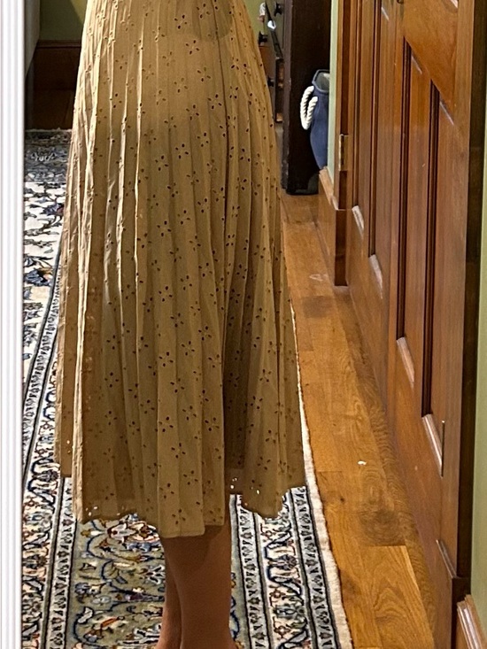 Ann Taylor Dresses & Skirts - Ann Taylor Mustard Pleated Eyelet Midi Dress